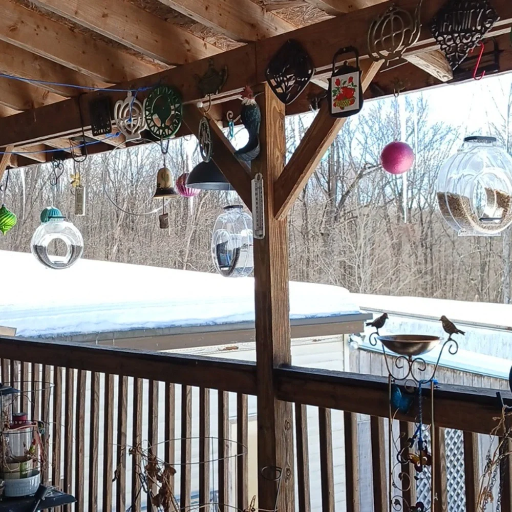 Transparent Hanging Bird Feeder